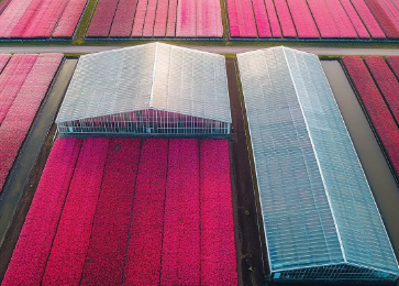 屏幕截图 2025-11-10 105552.png